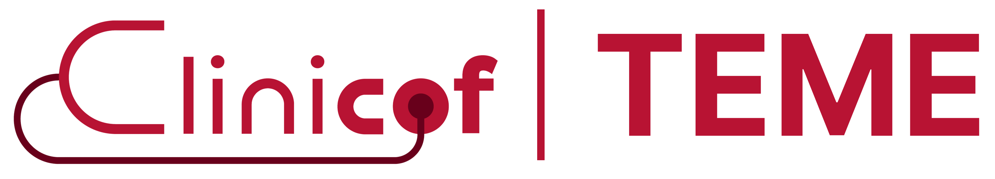 Logo TEME - Título de Especialista em Medicina de Emergência