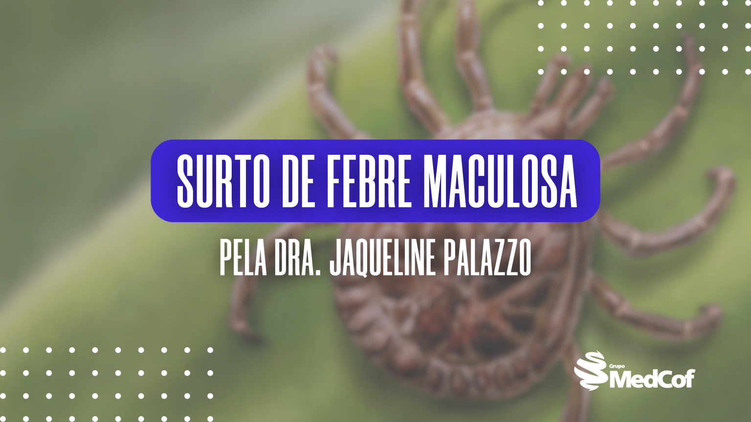 Surto De Febre Maculosa Em Campinas O Que Fazer Blog Grupo Medcof