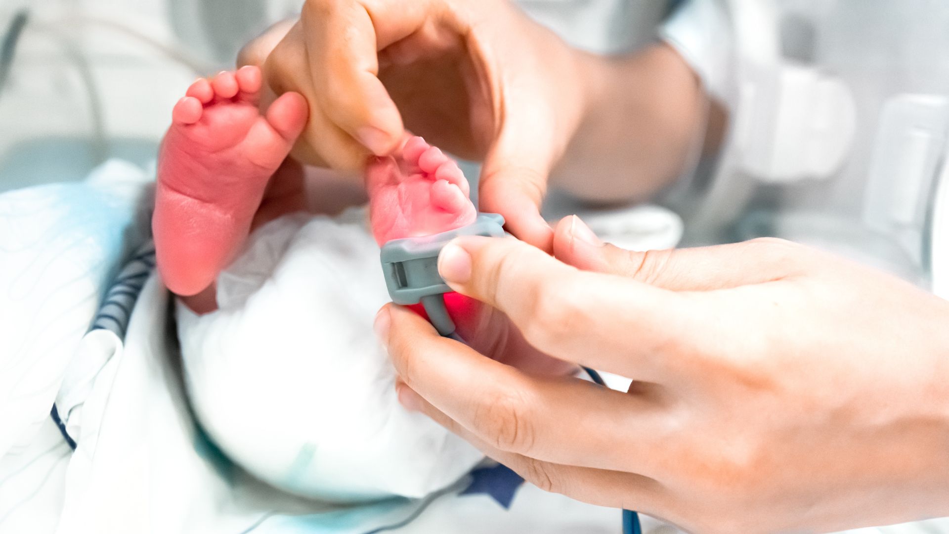 triagens neonatais triagem neonatal